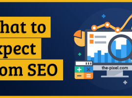 What to Expects from SEO