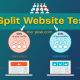 Split Website Testing